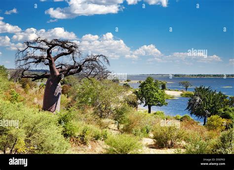'botswana' Search .